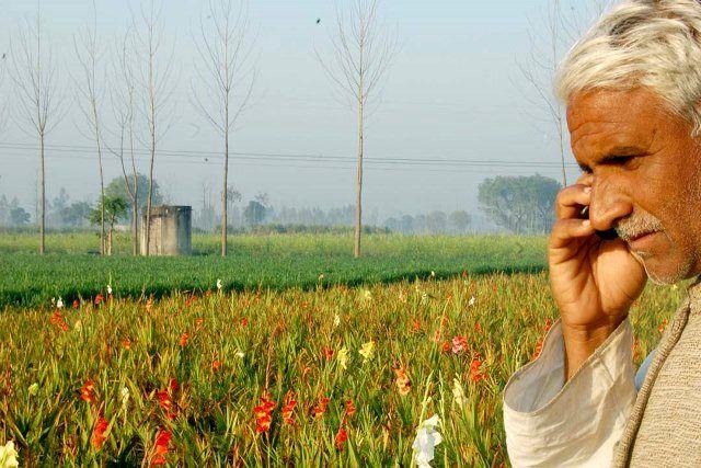 ارتباط کشاورزان هندی با دانشگاه برای گرفتن مشاوره