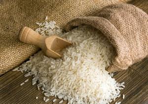 نیاز به واردات برنج داریم