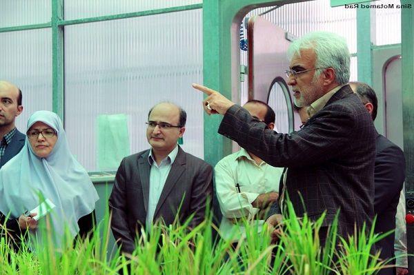 بازدید متخصصان موسسه تحقیقاتی صنایع دفاعی کشور از پژوهشکده بیوتکنولوژی کشاورزی/ امنیت غذایی با بیوتکنولوژی کشاورزی ممکن خواهد بود