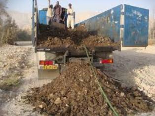 استفاده ازکود مرغی درکشاورزی سلامت مردم لمبدان بوشهر را تهدید می کند