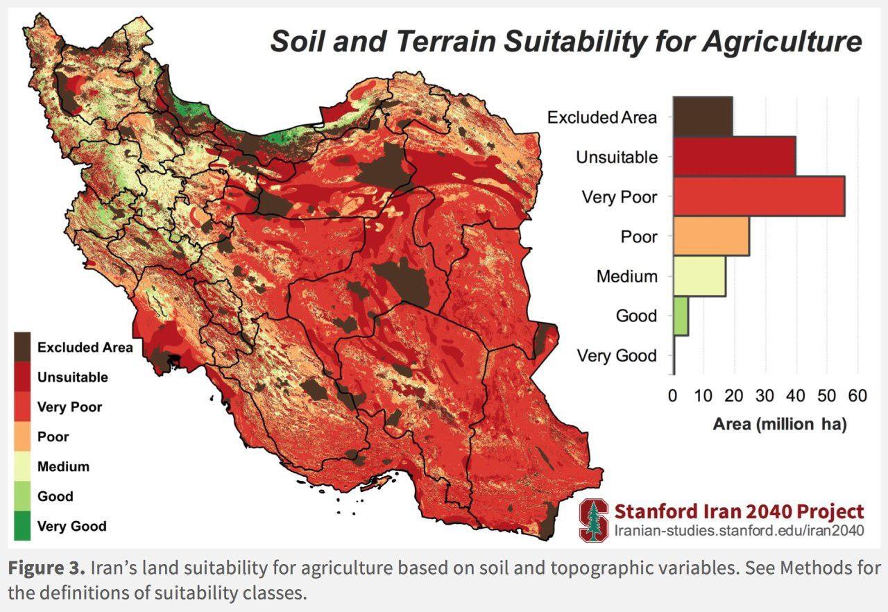 گندم، مقصر بحران آب نیست، فکری برای خیار و گوجه بکنید