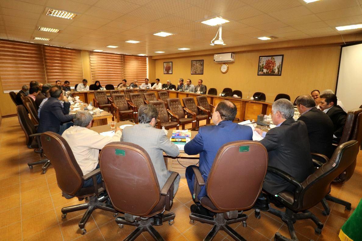 ذرت تولیدی کشاورزان امسال از طریق بازار بورس انجام می شود / مرغداران کرمان درخواست خود را در سامانه  ثبت کنند