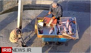 برخورد با ماهی فروشان دوره گرد