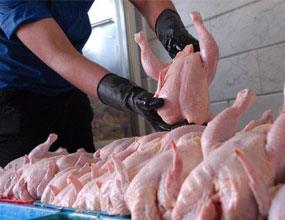 ثبات قیمت مرغ در روزهای پایانی سال