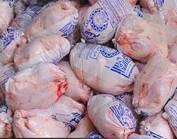 فرهنگسازی مصرف مرغ منجمد در بین خانوارهای زنجانی