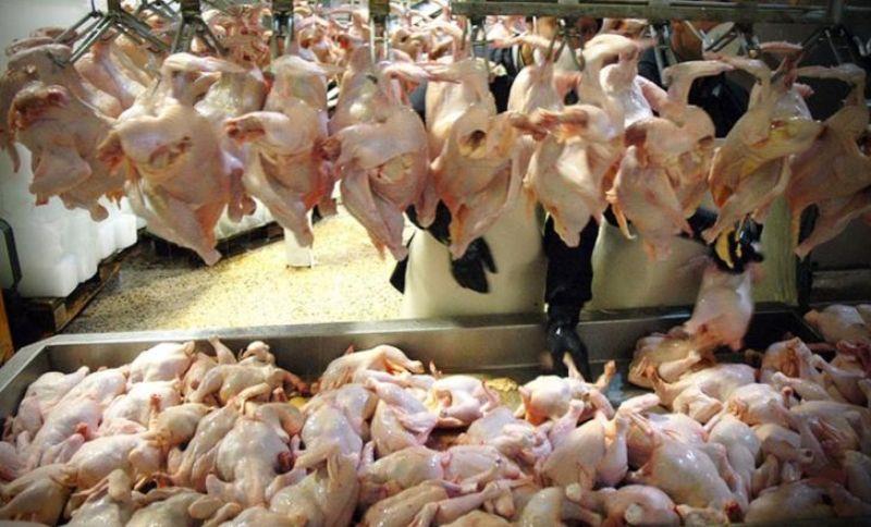 تولیدکنندگان مرغ، گوش مردم را بریدند