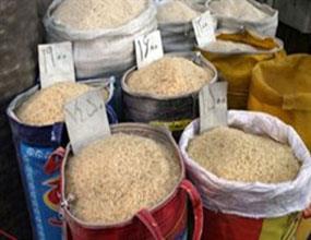 ایران نیازی به واردات برنج خارجی ندارد