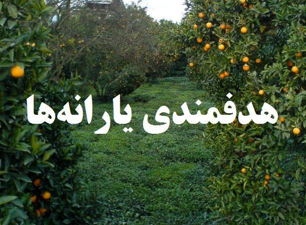 یارانه قیمتی‌ تهدیدی علیه امنیت غذایی/ اثر معکوس اجرای هدفمندی یارانه‌ها بر امنیت غذایی خانوارها روستایی