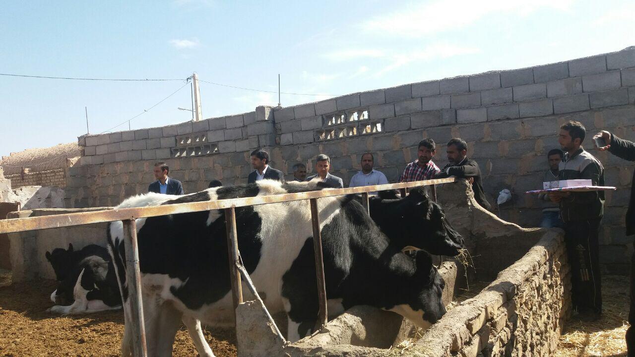 بهره برداری از سه طرح کشاورزی در خراسان جنوبی