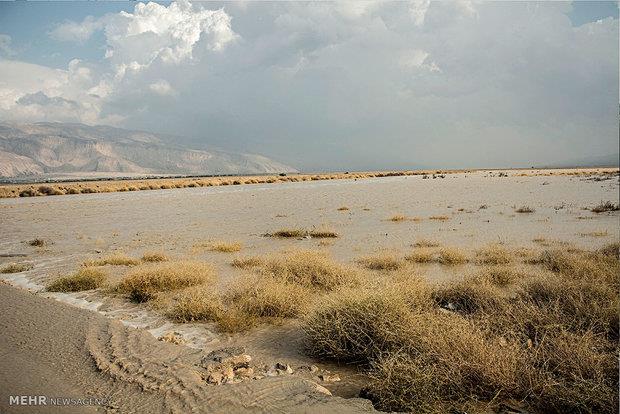 سیلاب ۴.۵ میلیارد تومان به بخش کشاورزی خرم آباد خسارت زد