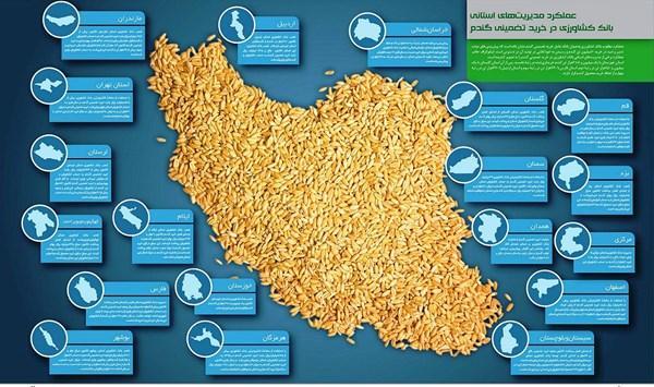 سیر خرید تضمینی گندم از سوی دولت به روایت نمودار