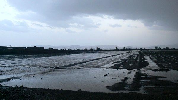 توصیه های فنی و کارشناسی سازمان هواشناسی کشاورزی تا پایان هفته