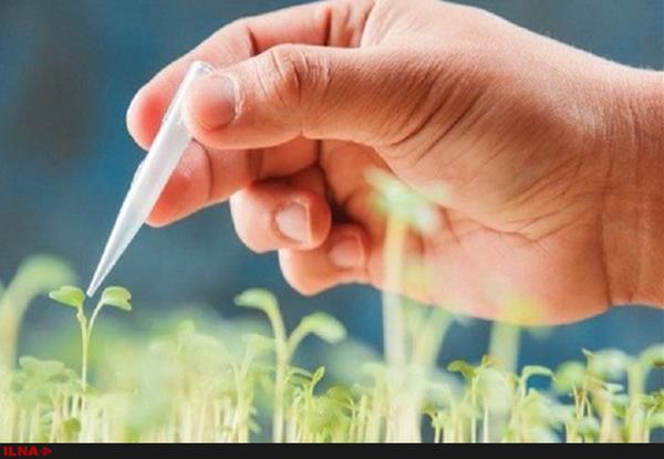 سلامتی محصولات کشاورزی با حصر بیولوژی و فیزیکی قابل تایید است