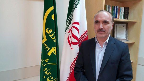 سیب‌زمینی‌کاران از برداشت زودهنگام محصول خودداری کنند/ برداشت‌های مرداد ماه برای تازه‌خوری است