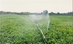 تجهیز سالانه 400 هزار هکتار از اراضی کشور به سیستم های آبیاری تحت فشار
