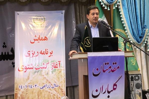 جلوگیری از هدر روی ۲۵ هزار تن گندم در فارس