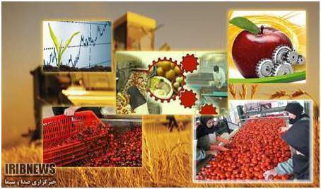 کاهش ضایعات محصولات کشاورزی با فرآوری و بسته بندی مناسب