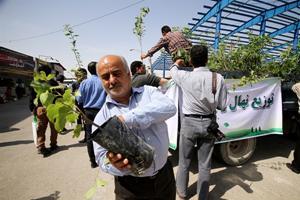 توزیع بیش از هفت میلیون اصله نهال شناسنامه دار در فارس