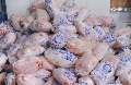 توزیع 12 تن مرغ منجمد در گالیکش آغاز شد