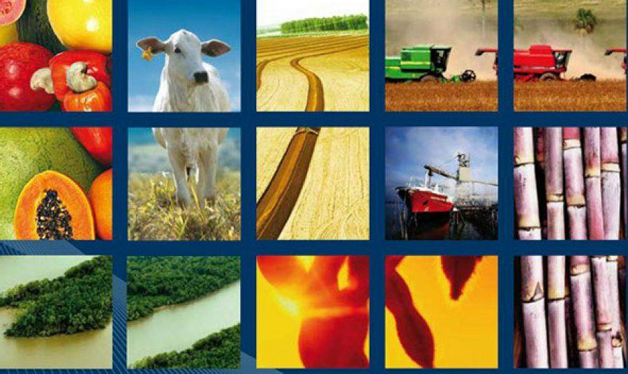 گزیده متوسط فروش محصولات و هزینه خدمات کشاورزی
