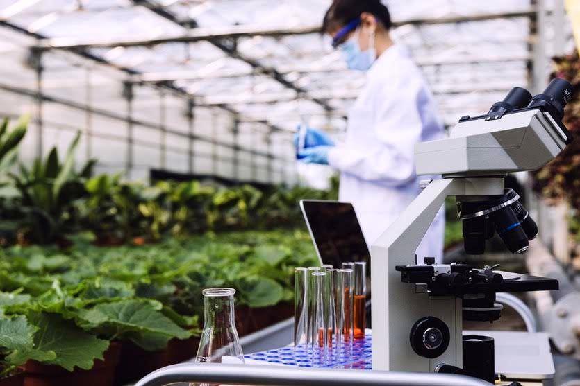 تعداد دانش‌آموختگان کشاورزی در استرالیا افزایش می‌یابد