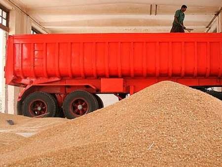 توقف پرداخت مطالبات گندمکاران آذربایجان غربی