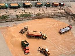 واردات سال آینده گندم بر سر دوراهی ممنوعیت یا محدودیت