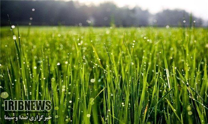 برودت هوا و هشدارجهادکشاورزی مهاباد به کشاورزان