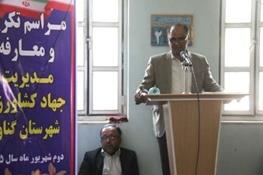 رکورد تولید گندم در استان بوشهر شکسته شد