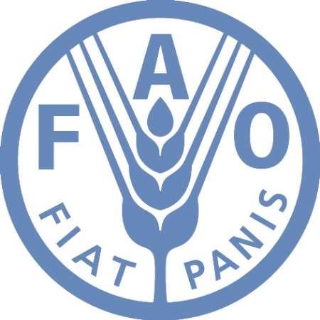 فائو: افزایش قیمت جهانی شکر و غلات در ماه ژانویه