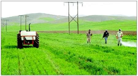 بخش کشاورزی گلستان نیاز جدی به برنامه جامع دارد