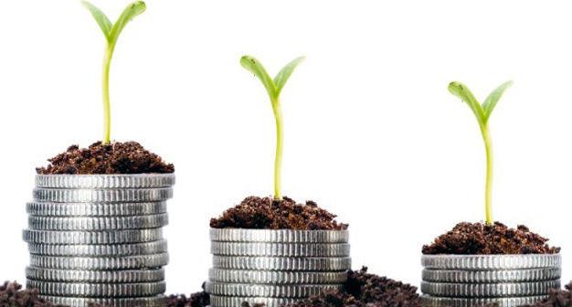 پرداخت 13 هزار میلیارد ریال تسهیلات به بخش کشاورزی از ابتدای سال تاکنون/ 35 هزار میلیارد ریال درخواست متقاضی تسهیلات برای توسعه گلخانه‌های کشور