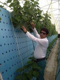 اجرای طرح کارآفرینی کشت هوایی کلید خورد