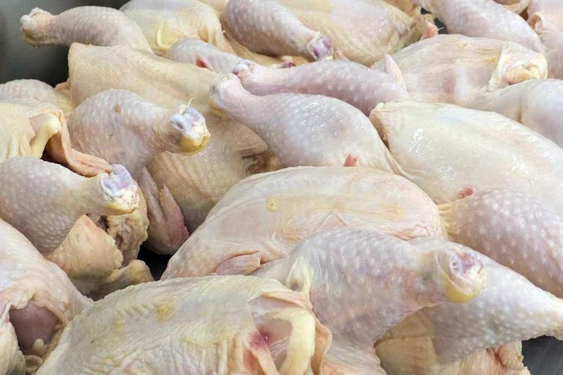 توزیع روزانه 50 تن گوشت مرغ در قزوین هفته آینده آغاز می شود