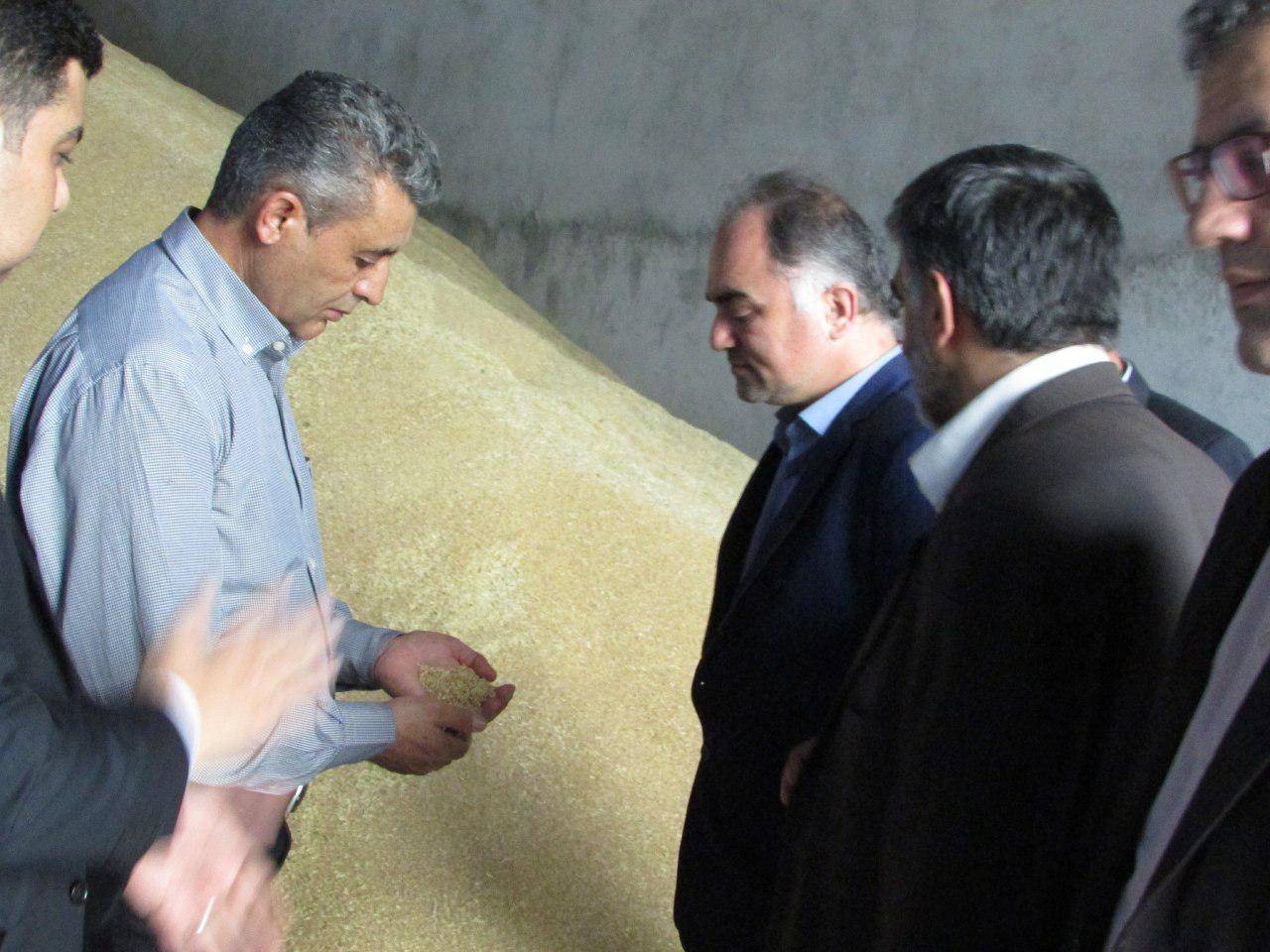 ارتقای کیفیت نان، مطالبه عمومی شهروندان است