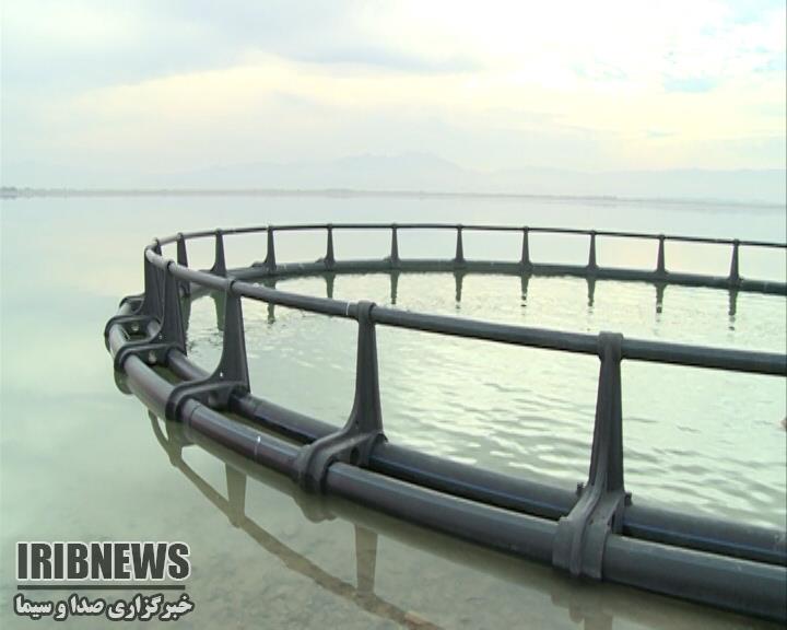 مکانیزاسیون 60 مزرعه پرورش ماهی در آذربایجان غربی+فیلم