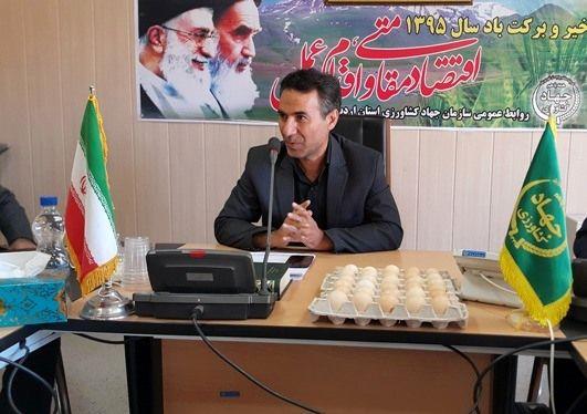 سهم ناچیز مصرف تخم مرغ در استان اردبیل / «معجون سلامتی» شعار جهانی امسال روز جهانی تخم مرغ