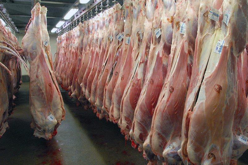 پارسال 56 هزار و 500 تن گوشت قرمز و سفید در ساوه تولید شد