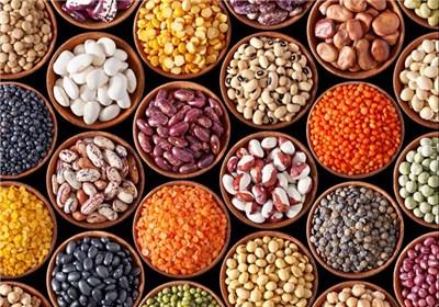 پیشنویس منشور بذر تدوین شد