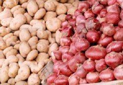 از سوی وزارت جهاد کشاورزی پیشنهاد شد:- قیمت خرید تضمینی سیب زمینی و پیاز برای سال زراعی 96-95