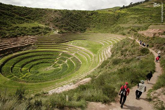تصاویری دیدنی از زمین‌های کشاورزی پله‌ای