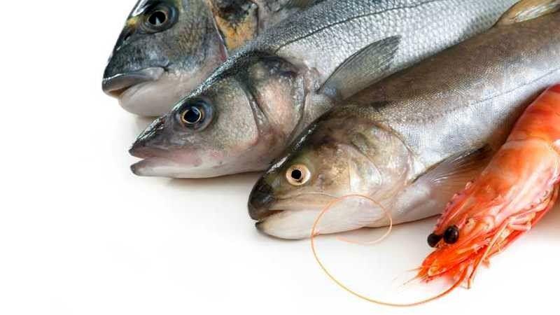 صادرات 15 هزار تنی آبزیان مأکول و غیرمأکول در سه ماه ابتدای سال/ روس‌ها برای ورود قزل‌آلا به فهرست سبز، دست به کار شدند