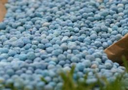 خرید کود نیترات پتاسیم چهارمحال و بختیاری برای مزارع کشور