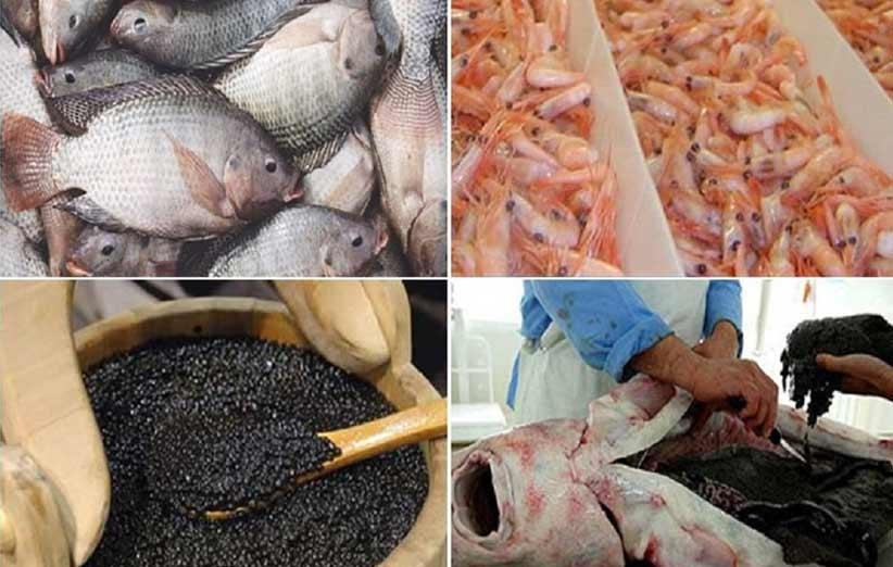 صادرات محصولات شیلاتی ایران به شرق اروپا