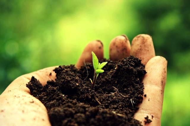 لایحه حفاظت از خاک به مجلس دهم رسید/ برگزاری جشنواره خاک در سال جاری