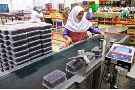 ایجاد کارگاههای بهداشتی برای هستهگیری کردن خرما در آبادان