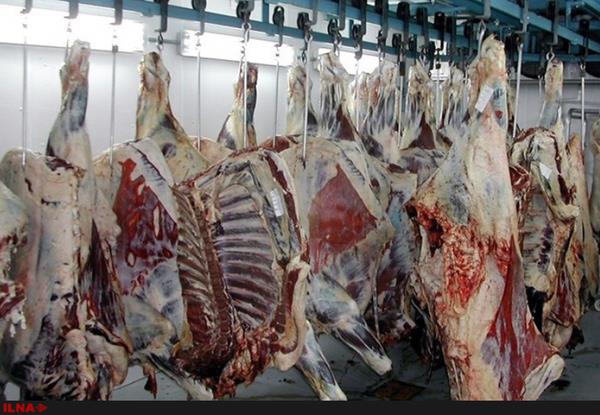 دلیل گرانی گوشت، خروج غیرقانونی دام و کاهش عرضه در میادین است