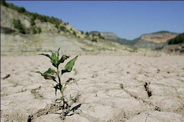 خشکسالی های کشور تا ۳۰ سال آینده ادامه خواهد داشت