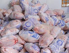 تعادل قیمت مرغ و گوشت حفظ می شود