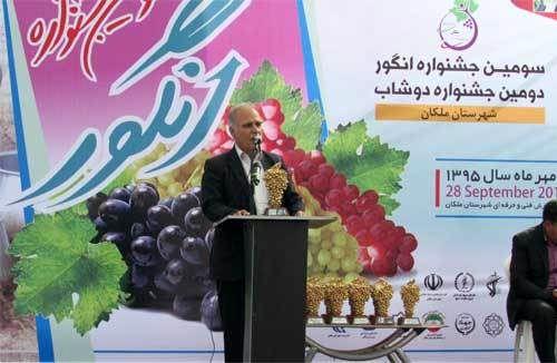 برگزاری سومین جشنواره انگور و دومین جشنواره دوشاب در شهرستان ملکان / تشکیل صندوق توسعه صادرات انگور و کشمش